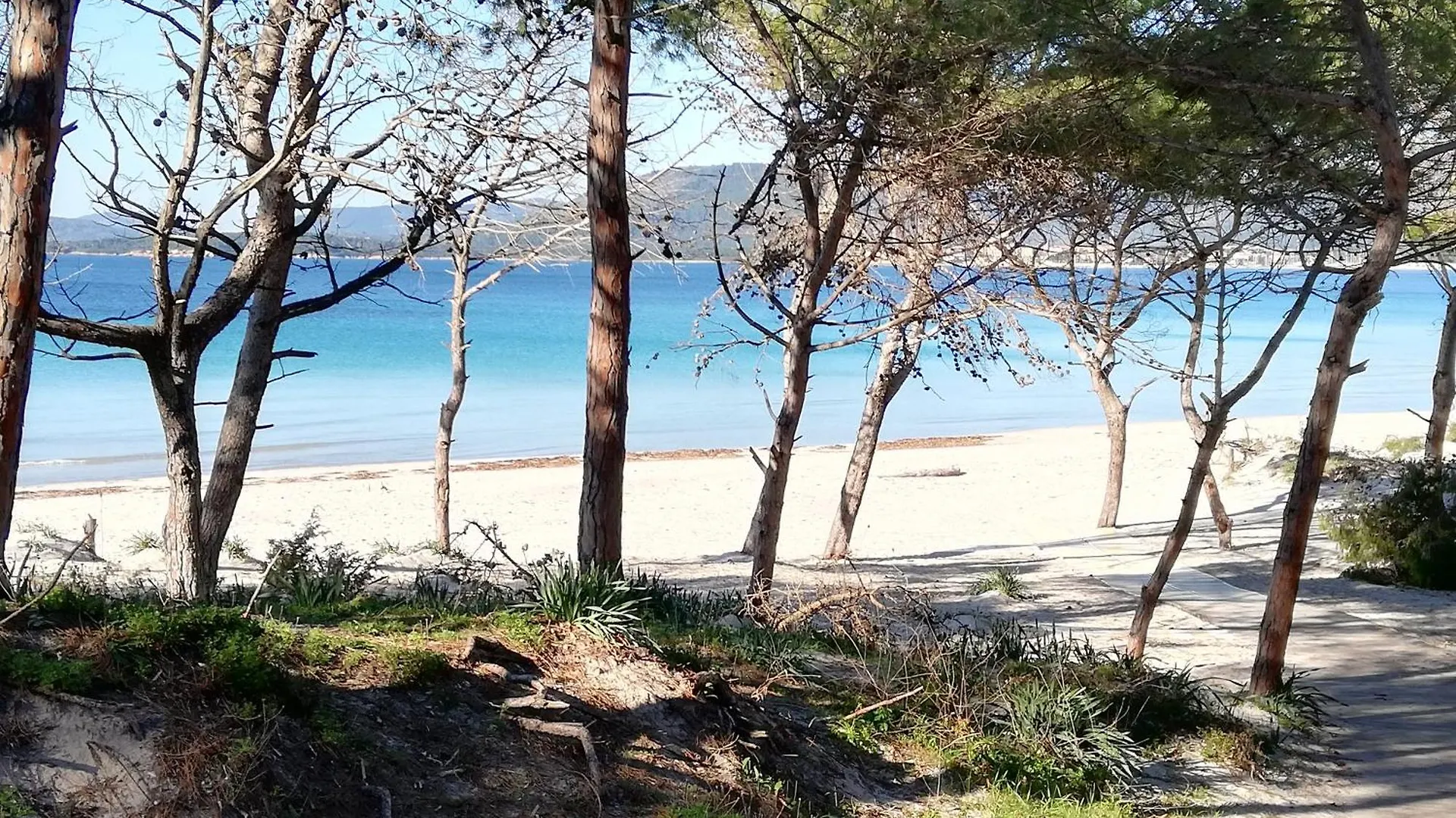 Apartment Nuovissimo Appartamento Con Terrazza Alghero